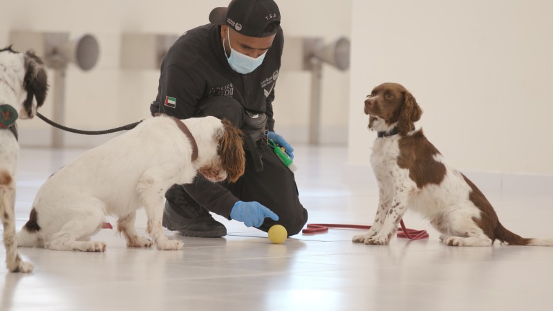 MOI successfully uses K9 police dogs to detect COVID-19	